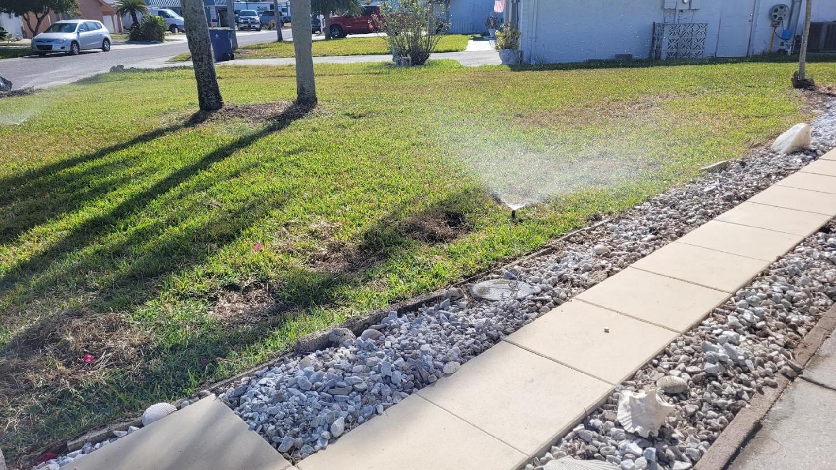 Near Clearwater And Tarpon Spring With Water View Apartment Holiday Bagian luar foto