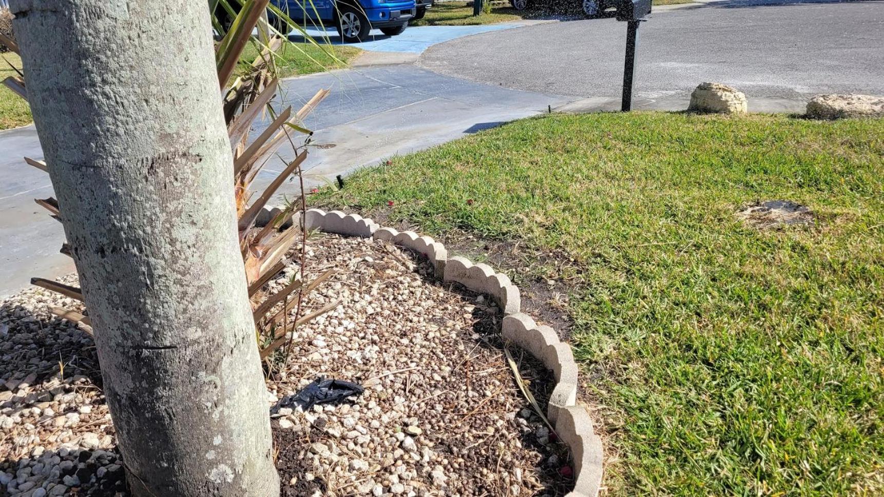 Near Clearwater And Tarpon Spring With Water View Apartment Holiday Bagian luar foto